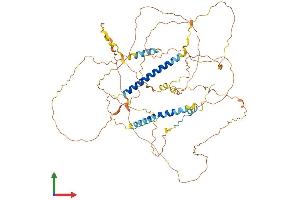 AlphaFold protein structure predicition of Human Recombinant DACT3 Protein, UniprotID Q96B18 (DACT3 Protein (AA 1-629) (His tag))