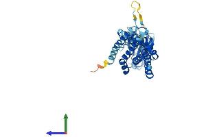 AlphaFold protein structure predicition of Human Recombinant HACD3 Protein, UniprotID Q9P035