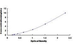 Sodium Channel, Nonvoltage-Gated 1 alpha (SCNN1A) ELISA Kit