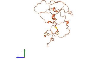 AlphaFold protein structure predicition of Human Recombinant KRTAP1-5 Protein, UniprotID Q9BYS1 (KRTAP1-5 Protein (AA 1-174) (His tag))