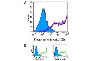 Specificity testing of GM1C8. (IL13RA2 antibody  (Extracellular Domain))