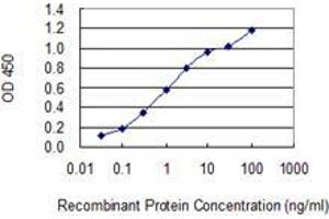 Detection limit for recombinant GST tagged CCNJL is 0. (CCNJL antibody  (AA 1-121))