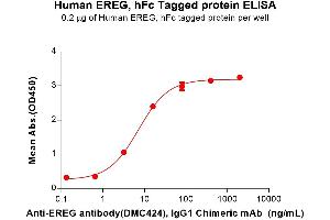 Epiregulin (EREG) (AA 63-108) protein (Fc Tag)