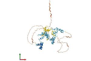 AlphaFold protein structure predicition of Human Recombinant ZNF772 Protein, UniprotID Q68DY9 (ZNF772 Protein (AA 1-489) (His tag))