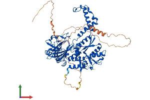AlphaFold protein structure predicition of Mouse Recombinant Riox1 Protein, UniprotID Q9JJF3 (C14orf169 + NO66 Protein (AA 1-603) (His tag))
