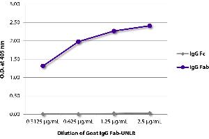ELISA plate was coated with serially diluted Goat IgG Fab-UNLB and quantified. (Goat IgG Isotype Control)