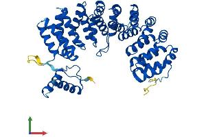 AlphaFold protein structure predicition of Mouse Recombinant Armc6 Protein, UniprotID Q8BNU0 (ARMC6 Protein (AA 1-468) (His tag))