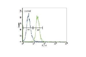 GADD45A Antibody (N-term) (ABIN389281 and ABIN2839407) flow cytometric analysis of K562 cells (right histogram) compared to a negative control cell (left histogram). (GADD45A antibody  (N-Term))