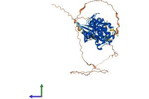 AlphaFold protein structure predicition of Mouse Recombinant Smok2a Protein, UniprotID Q9QYZ6 (Smok2a Protein (AA 1-504) (His tag))