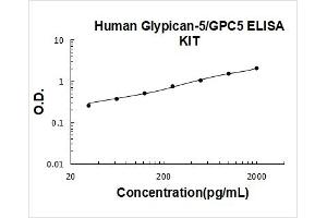 Typical Standard Curve