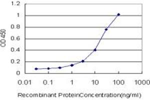 Detection limit for recombinant GST tagged UGT2B10 is approximately 0. (UGT2B10 antibody  (AA 62-159))