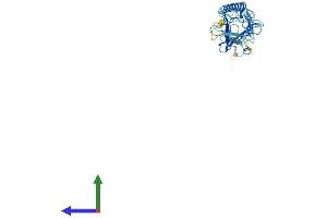 Protein Structure (PS) image for Sarcoglycan, delta (35kDa Dystrophin-Associated Glycoprotein) (SGCD) (AA 1-289) protein (His tag) (ABIN7556749)