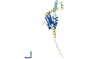 AlphaFold protein structure predicition of Human Recombinant PDCL2 Protein, UniprotID Q8N4E4 (PDCL2 Protein (AA 1-241) (His tag))