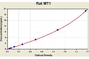 Diagramm of the ELISA kit to detect Rat MT1with the optical density on the x-axis and the concentration on the y-axis.