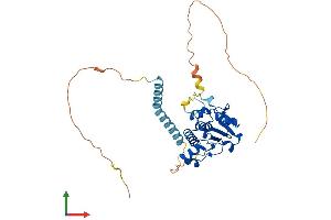 Protein Structure (PS) image for RNA (Guanine-9-) Methyltransferase Domain Containing 2 (RG9MTD2) (AA 1-339) protein (His tag) (ABIN7544630)