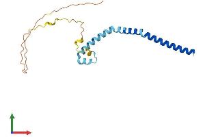 AlphaFold protein structure predicition of Human Recombinant TMEM31 Protein, UniprotID Q5JXX7 (TMEM31 Protein (AA 1-168) (His tag))
