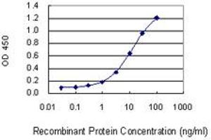 Detection limit for recombinant GST tagged CCDC5 is 0. (HAUS1 antibody  (AA 179-278))
