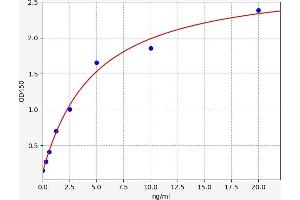 ACTN2 ELISA Kit