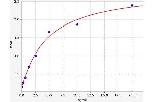 Typical standard curve (ACTN2 ELISA Kit)