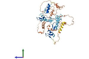 AlphaFold protein structure predicition of Human Recombinant FEZF2 Protein, UniprotID Q8TBJ5