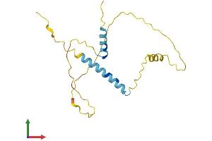 AlphaFold protein structure predicition of Human Recombinant LNP1 Protein, UniprotID A1A4G5 (LNP1 Protein (AA 1-178) (His tag))