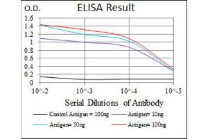 ELISA image for anti-Myogenic Factor 6 (MYF6) (AA 85-150) antibody (ABIN1845795) (MYF6 antibody  (AA 85-150))