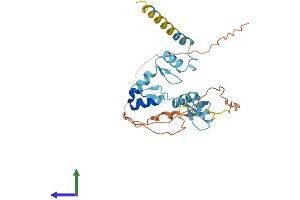AlphaFold protein structure predicition of Human Recombinant OVOL2 Protein, UniprotID Q9BRP0