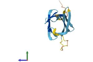 AlphaFold protein structure predicition of Mouse Recombinant Tcl1b3 Protein, UniprotID P56842