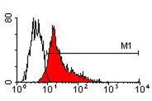 Image no. 1 for anti-Vascular Cell Adhesion Molecule 1 (VCAM1) antibody (PE) (ABIN135073) (VCAM1 antibody  (PE))