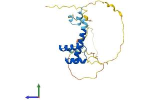 AlphaFold protein structure predicition of Human Recombinant GSC2 Protein, UniprotID O15499