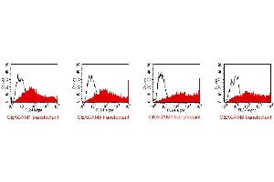 FACS analysis of BOSC23 cells using TET2. (CEACAM 1,5,6,8 antibody)