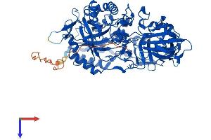 Galactosidase, beta 1-Like 3 (GLB1L3) (AA 1-653) protein (His tag)