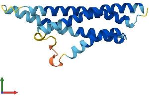 AlphaFold protein structure predicition of Mouse Recombinant Cnih3 Protein, UniprotID Q6ZWS4 (CNIH3 Protein (AA 1-160) (His tag))
