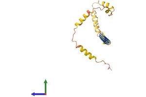 AlphaFold protein structure predicition of Human Recombinant FAM74A3 Protein, UniprotID Q4VXF1 (FAM74A3 Protein (AA 1-159) (His tag))