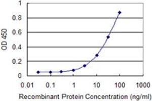 Detection limit for recombinant GST tagged MLF2 is 0. (MLF2 antibody  (AA 1-248))