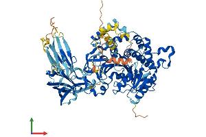 AlphaFold protein structure predicition of Mouse Recombinant Pla2g4d Protein, UniprotID Q50L43 (PLA2G4D Protein (AA 1-825) (His tag))