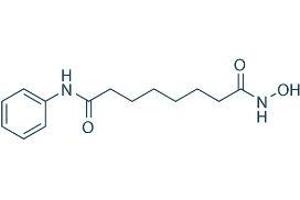 Molecule (M) image for SAHA (Vorinostat) (ABIN7233284)