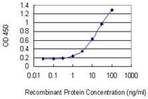 Detection limit for recombinant GST tagged GAGE5 is 0. (G Antigen 5 antibody  (AA 28-117))