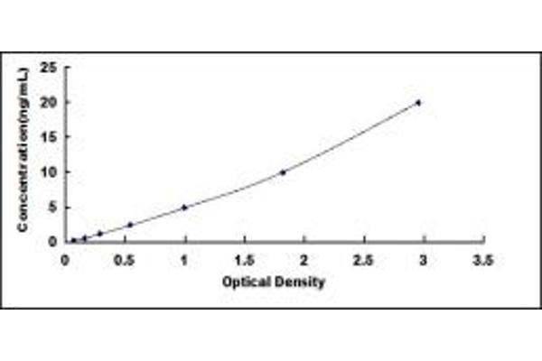 DDOST ELISA Kit