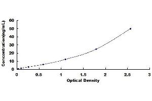 Typical standard curve (ANGPTL4 ELISA Kit)