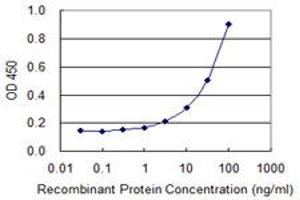 Detection limit for recombinant GST tagged TK1 is 1 ng/ml as a capture antibody. (TK1 antibody  (AA 1-234))