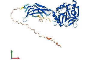 Protein Structure (PS) image for Phytanoyl-CoA 2-Hydroxylase Interacting Protein-Like (PHYHIPL) (AA 1-376) protein (His tag) (ABIN7550772)