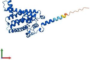 Protein Structure (PS) image for Sterol-C5-Desaturase (SC5DL) (AA 1-299) protein (His tag) (ABIN7562666)