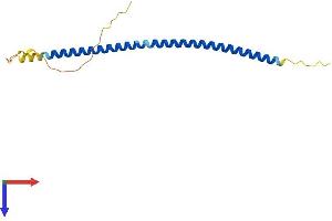 Alanine and Arginine Rich Domain Containing Protein (AARD) (AA 1-155) protein (His tag)