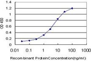Detection limit for recombinant GST tagged RIPK2 is approximately 0. (RIPK2 antibody  (AA 431-540))
