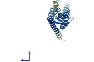 AlphaFold protein structure predicition of Mouse Recombinant Gjb2 Protein, UniprotID Q00977
