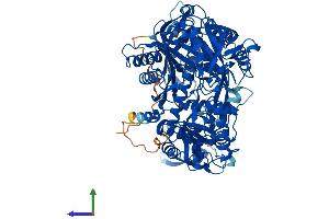 Protein Structure (PS) image for Argonaute 2 (AGO2) (AA 1-860) protein (His tag) (ABIN7564604)