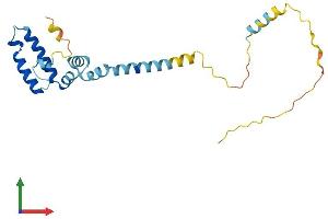 Protein Structure (PS) image for DnaJ (Hsp40) Homolog, Subfamily C, Member 5 (DNAJC5) (AA 1-198) protein (His tag) (ABIN7556568)
