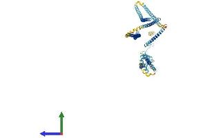 AlphaFold protein structure predicition of Human Recombinant MAD1L1 Protein, UniprotID Q9Y6D9