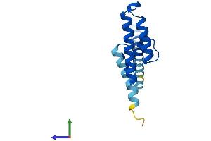 Protein Structure (PS) image for Presequence Translocase-Associated Motor 16 Homolog (PAM16) (AA 1-125) protein (His tag) (ABIN7560580)